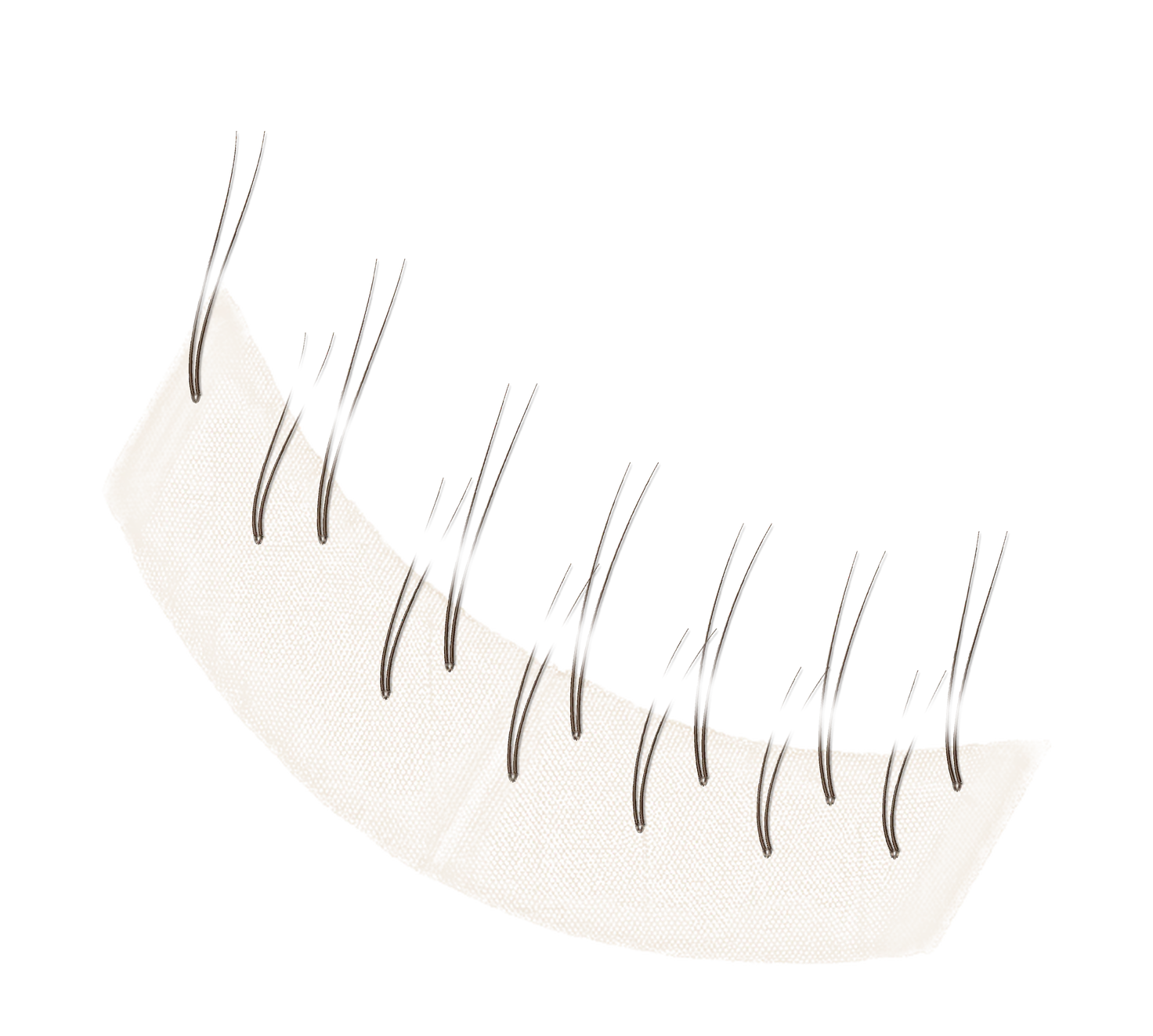 V-loop hairs set in lace, macro view